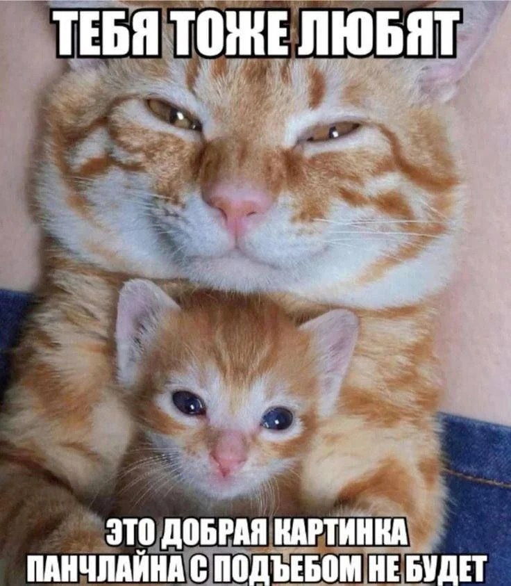 без обманов